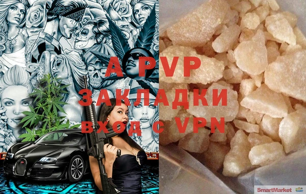 крисы Коряжма