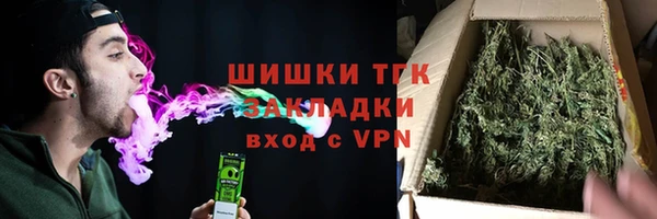 крисы Коряжма