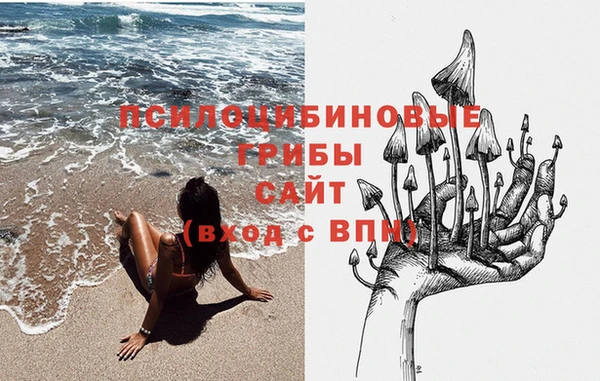 гидропоника Костерёво