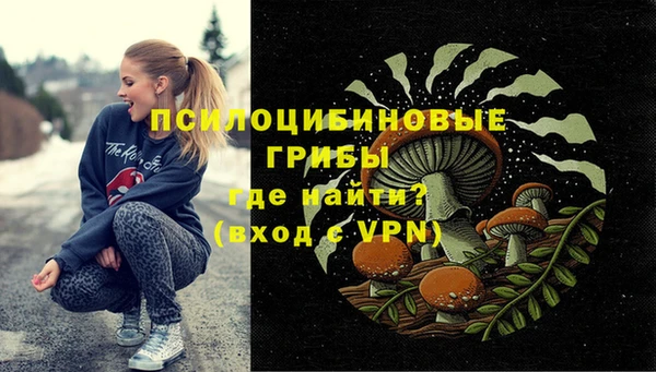 крисы Коряжма