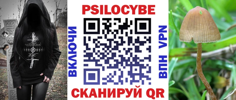 Псилоцибиновые грибы Psilocybe  Купить закладки  Уфа